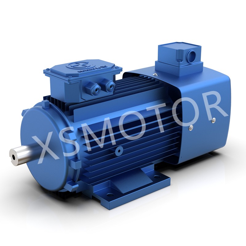 YVF2系列變頻調(diào)速三相異步電動機(jī)